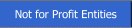 Not for Profit Entities