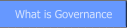 What is Governance